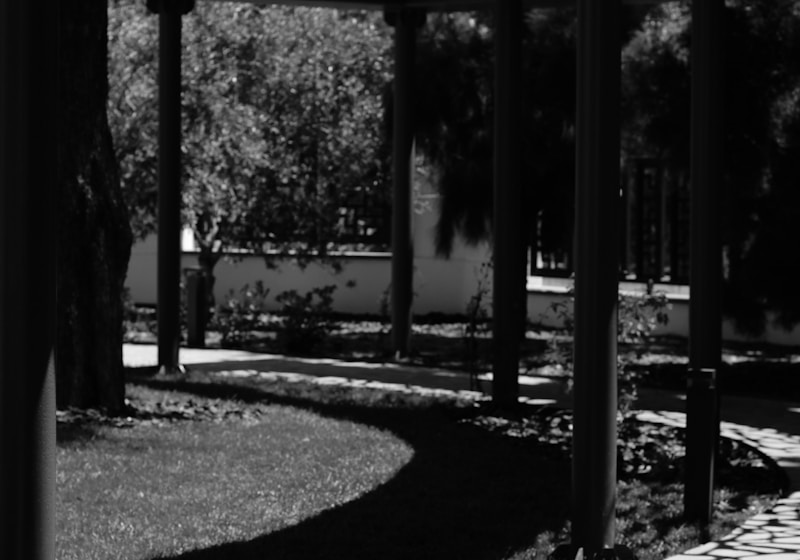 Garden Pergola